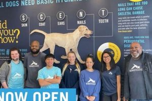 Best Dog Day Care in Frazer PA: Top Centers | My Caring Dog – Tips, Stories, and Care Guides for Loving Pet Owners