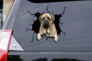 Dog Decals For Car Window | My Caring Dog – Tips, Stories, and Care Guides for Loving Pet Owners