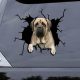 Dog Decals For Car Window | My Caring Dog – Tips, Stories, and Care Guides for Loving Pet Owners
