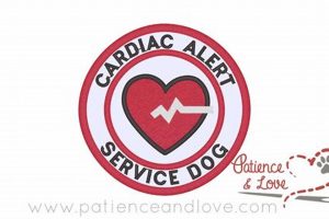 Trained Cardiac Alert Dogs for Sale: Find Yours | My Caring Dog – Tips, Stories, and Care Guides for Loving Pet Owners