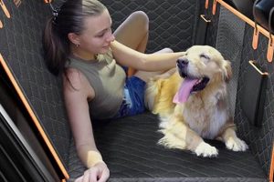 Best Dog Car Back Seat Protectors &amp; Covers | My Caring Dog – Tips, Stories, and Care Guides for Loving Pet Owners