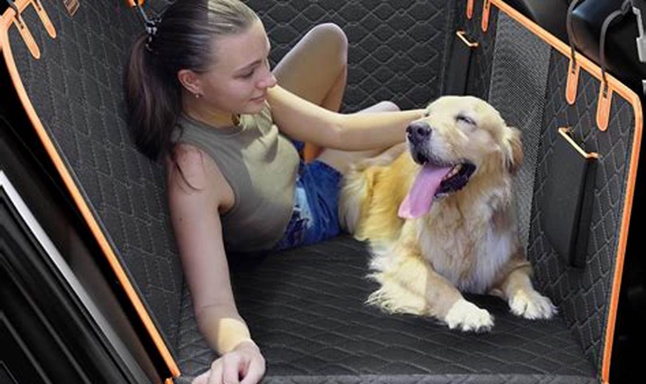 Best Dog Car Back Seat Protectors &amp; Covers | My Caring Dog – Tips, Stories, and Care Guides for Loving Pet Owners