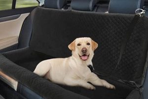 Best Dog Car Back Seat Beds &amp; Protectors | My Caring Dog – Tips, Stories, and Care Guides for Loving Pet Owners