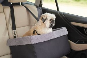 Best Chew-Proof Dog Car Seats & Carriers | My Caring Dog – Tips, Stories, and Care Guides for Loving Pet Owners
