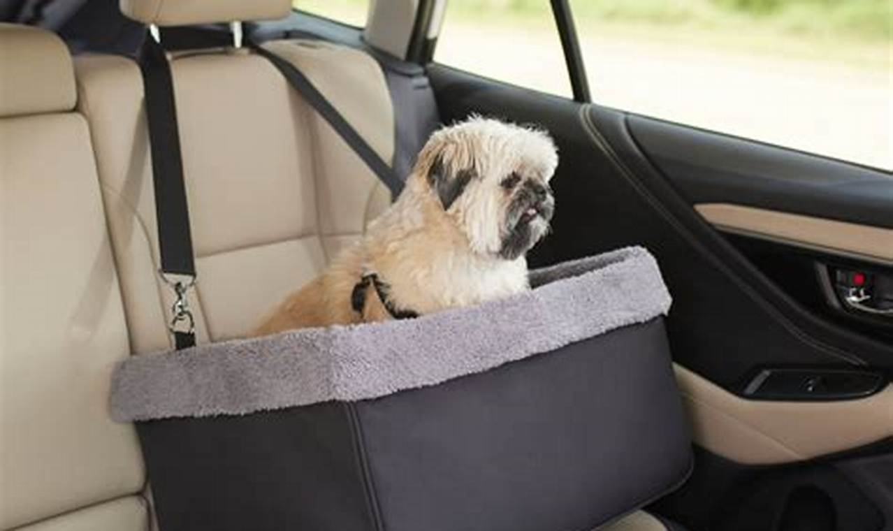 Best Chew-Proof Dog Car Seats & Carriers | My Caring Dog – Tips, Stories, and Care Guides for Loving Pet Owners