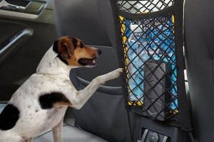 Best Dog Guards for Cars: Pets at Home Safe & Secure My Caring Dog – Tips, Stories, and Care Guides for Loving Pet Owners Best Dog Guards for Cars: Pets at Home Safe & Secure | My Caring Dog – Tips, Stories, and Care Guides for Loving Pet Owners
