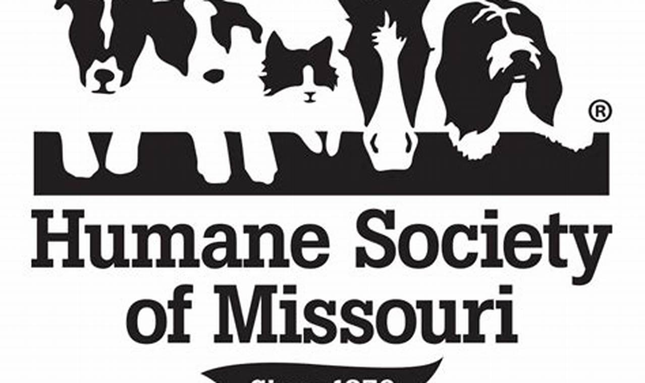 Adopt a Car Dog: Humane Society of St. Louis MO Pets | My Caring Dog – Tips, Stories, and Care Guides for Loving Pet Owners