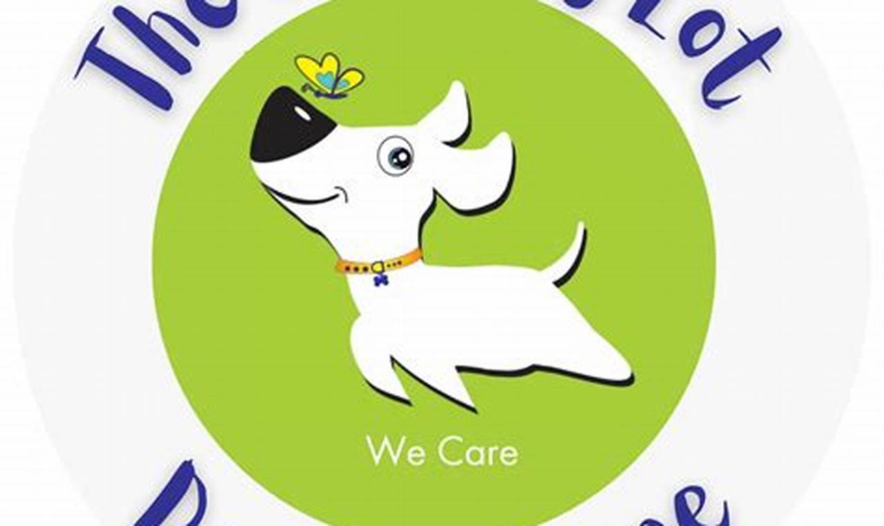 Best Barking Lot Dog Day Care | Top Rated | My Caring Dog – Tips, Stories, and Care Guides for Loving Pet Owners