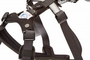 Best Top Rated Dog Car Safety Harnesses 2023 | My Caring Dog – Tips, Stories, and Care Guides for Loving Pet Owners