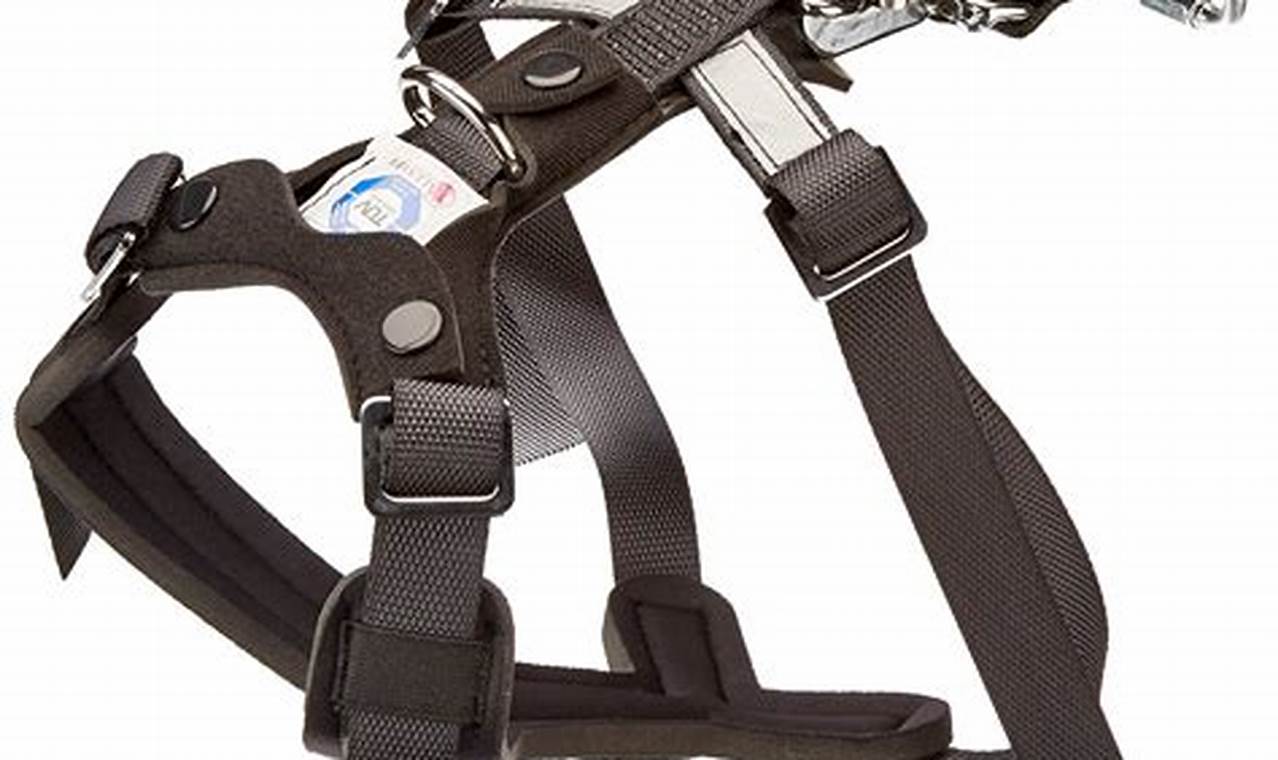 Best Top Rated Dog Car Safety Harnesses 2023 | My Caring Dog – Tips, Stories, and Care Guides for Loving Pet Owners