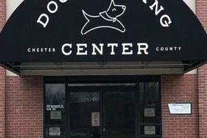 Top Dog Training Centers in Chester County, PA | My Caring Dog – Tips, Stories, and Care Guides for Loving Pet Owners