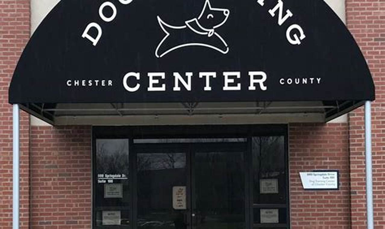 Top Dog Training Centers in Chester County, PA | My Caring Dog – Tips, Stories, and Care Guides for Loving Pet Owners