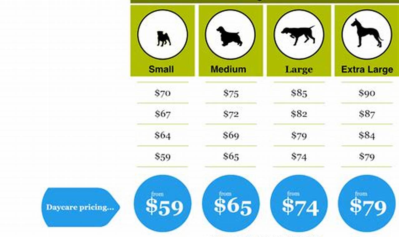 Dog Day Care Rates | My Caring Dog – Tips, Stories, and Care Guides for Loving Pet Owners