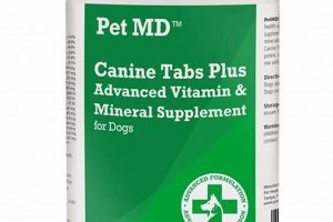 Top Canine MDs for Car Dogs | My Caring Dog – Tips, Stories, and Care Guides for Loving Pet Owners