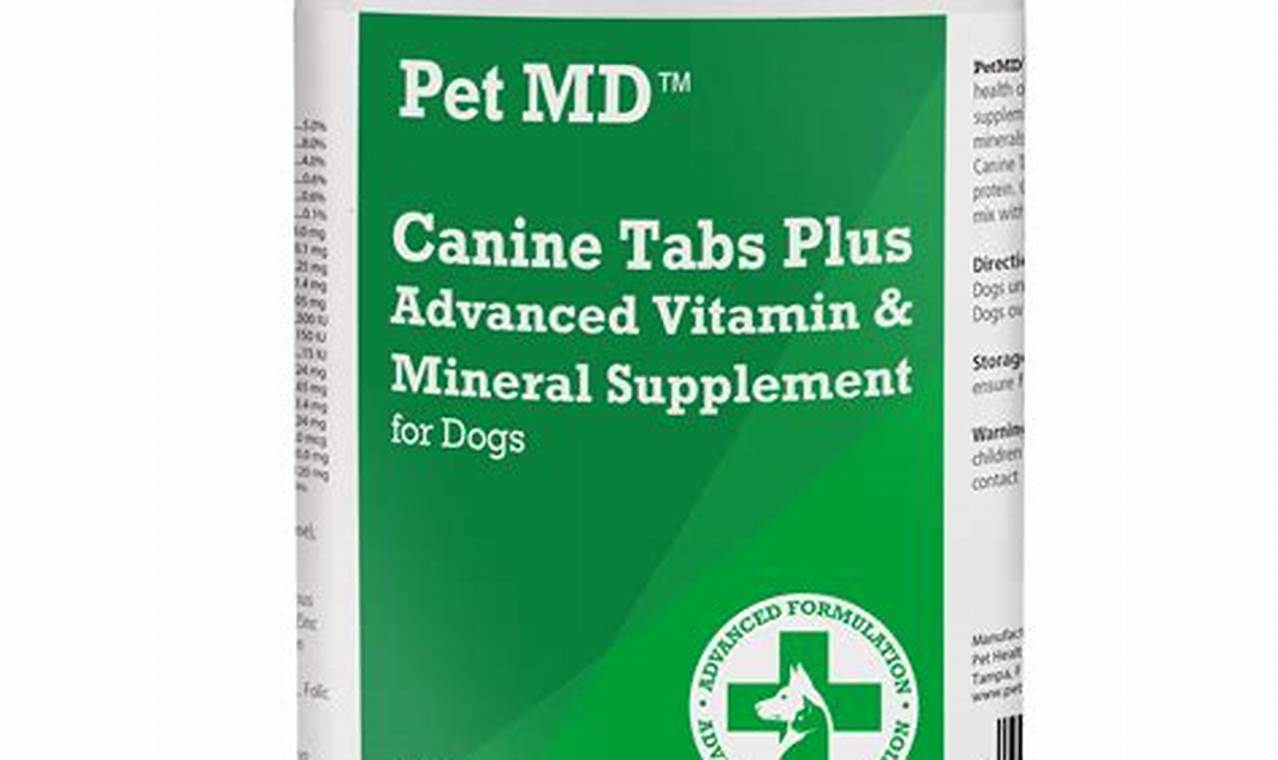 Top Canine MDs for Car Dogs | My Caring Dog – Tips, Stories, and Care Guides for Loving Pet Owners