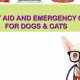 Dog Emergency Care Guide: First Aid & More | My Caring Dog – Tips, Stories, and Care Guides for Loving Pet Owners