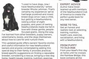 Ultimate Newfoundland Dog Care Guide | My Caring Dog – Tips, Stories, and Care Guides for Loving Pet Owners