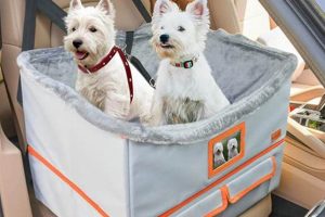 Safe Dog Car Seat Installation Guide | My Caring Dog – Tips, Stories, and Care Guides for Loving Pet Owners