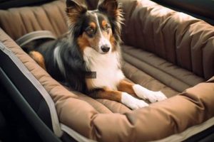Best Dog Bed Car for Safe & Comfy Travel My Caring Dog – Tips, Stories, and Care Guides for Loving Pet Owners Best Dog Bed Car for Safe & Comfy Travel | My Caring Dog – Tips, Stories, and Care Guides for Loving Pet Owners