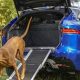 Safe Dog Travel in Cars: Tips &amp; Gear | My Caring Dog – Tips, Stories, and Care Guides for Loving Pet Owners