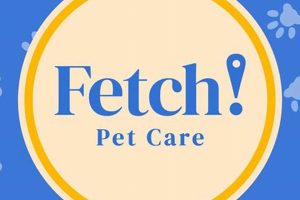 Best Fetch Dog Day Care: Fun & Safe | My Caring Dog – Tips, Stories, and Care Guides for Loving Pet Owners