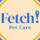 Best Fetch Dog Day Care: Fun & Safe | My Caring Dog – Tips, Stories, and Care Guides for Loving Pet Owners