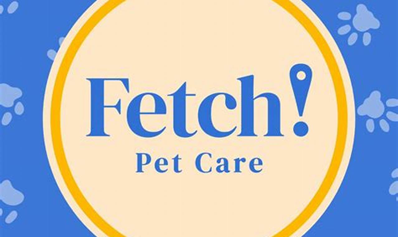 Best Fetch Dog Day Care: Fun & Safe My Caring Dog – Tips, Stories, and Care Guides for Loving Pet Owners Best Fetch Dog Day Care: Fun & Safe | My Caring Dog – Tips, Stories, and Care Guides for Loving Pet Owners