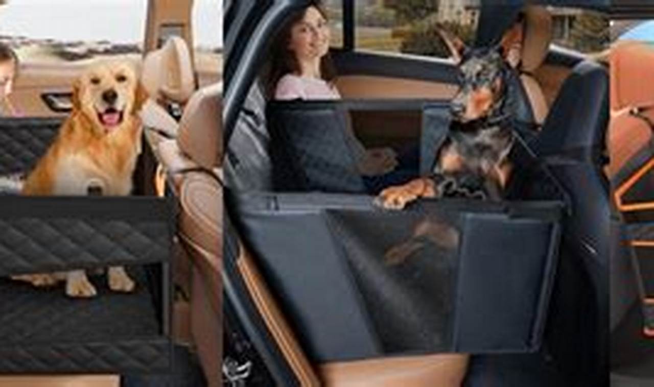 Best Dog Seat for Car 4 Knines: Safe & Comfy My Caring Dog – Tips, Stories, and Care Guides for Loving Pet Owners Best Dog Seat for Car 4 Knines: Safe & Comfy | My Caring Dog – Tips, Stories, and Care Guides for Loving Pet Owners