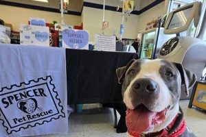 Best Animal Rescue & Enrichment Center in St. Louis My Caring Dog – Tips, Stories, and Care Guides for Loving Pet Owners Best Animal Rescue & Enrichment Center in St. Louis | My Caring Dog – Tips, Stories, and Care Guides for Loving Pet Owners