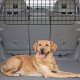 Best Dog Gate Car Barriers &amp; Guards for Safe Travel | My Caring Dog – Tips, Stories, and Care Guides for Loving Pet Owners