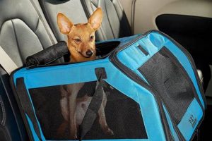 Best Dog Carriers for Car Travel: Safe & Secure | My Caring Dog – Tips, Stories, and Care Guides for Loving Pet Owners
