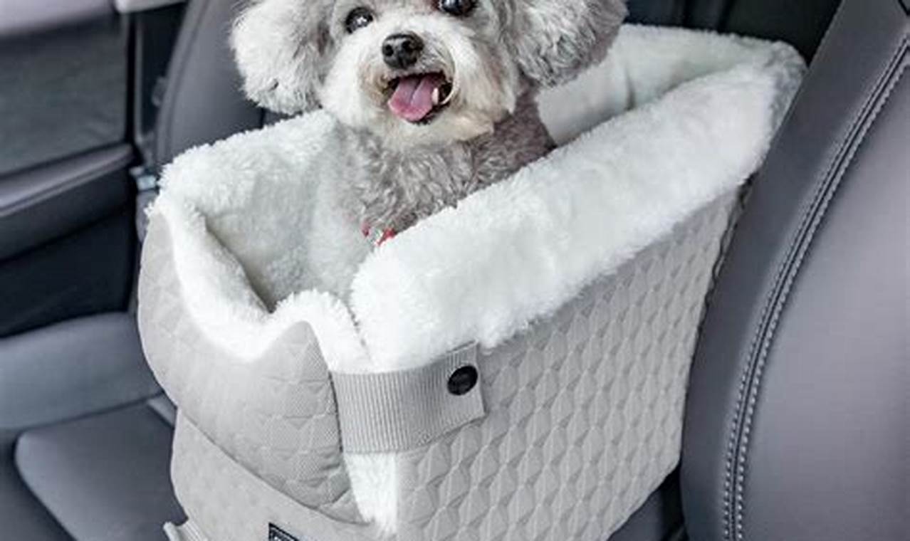 Top Dog Car Seats for Corgis: Safe & Comfy Rides My Caring Dog – Tips, Stories, and Care Guides for Loving Pet Owners Top Dog Car Seats for Corgis: Safe & Comfy Rides | My Caring Dog – Tips, Stories, and Care Guides for Loving Pet Owners