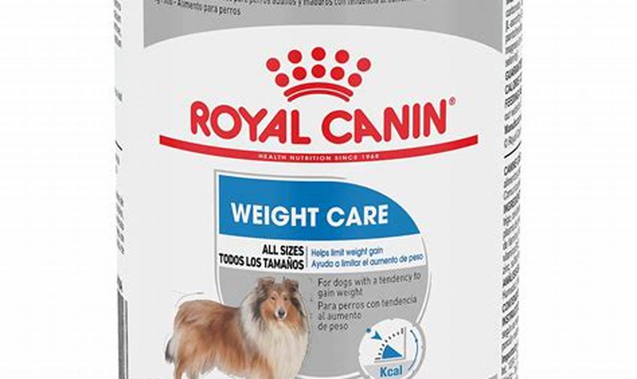 Royal Canin Weight Care Wet Dog Food My Caring Dog – Tips, Stories, and Care Guides for Loving Pet Owners Royal Canin Weight Care Wet Dog Food | My Caring Dog – Tips, Stories, and Care Guides for Loving Pet Owners