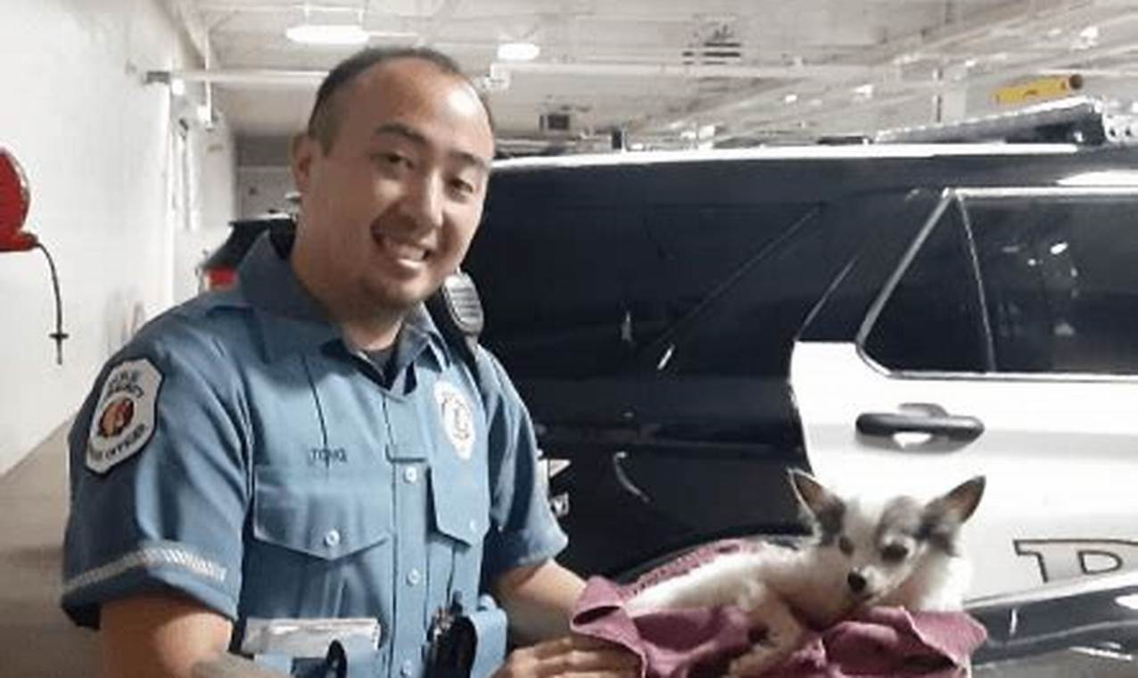 Skokie Animal Control: Pet Safety & Laws My Caring Dog – Tips, Stories, and Care Guides for Loving Pet Owners Skokie Animal Control: Pet Safety & Laws | My Caring Dog – Tips, Stories, and Care Guides for Loving Pet Owners