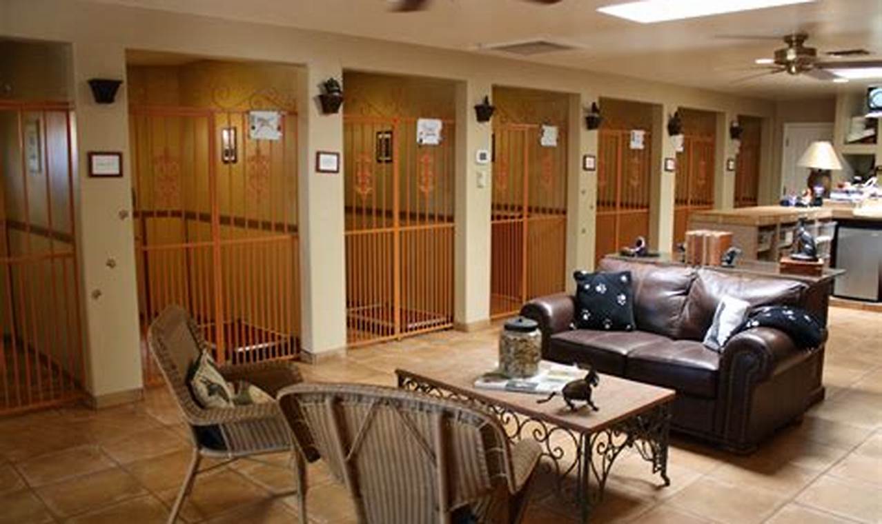 Top-Rated Dog Boarding and Day Care Services Near You My Caring Dog – Tips, Stories, and Care Guides for Loving Pet Owners Top-Rated Dog Boarding and Day Care Services Near You | My Caring Dog – Tips, Stories, and Care Guides for Loving Pet Owners