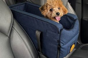 Best Car Seats for Little Dogs: Safe & Secure | My Caring Dog – Tips, Stories, and Care Guides for Loving Pet Owners