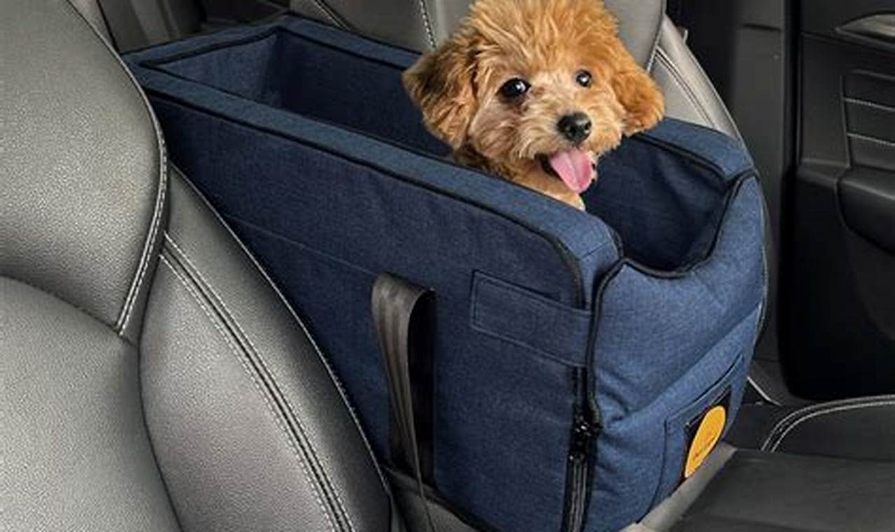 Best Car Seats for Little Dogs: Safe & Secure My Caring Dog – Tips, Stories, and Care Guides for Loving Pet Owners Best Car Seats for Little Dogs: Safe & Secure | My Caring Dog – Tips, Stories, and Care Guides for Loving Pet Owners