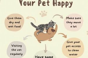 Pet Tips | My Caring Dog – Tips, Stories, and Care Guides for Loving Pet Owners