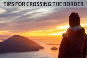 Driving with Dogs: US-Canada Border Crossing Guide | My Caring Dog – Tips, Stories, and Care Guides for Loving Pet Owners