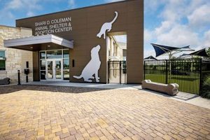 Best Center for Animal Care & Adoption | My Caring Dog – Tips, Stories, and Care Guides for Loving Pet Owners