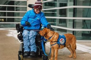 Service Dogs: Paws for a Cause, Changing Lives | My Caring Dog – Tips, Stories, and Care Guides for Loving Pet Owners