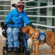 Service Dogs: Paws for a Cause, Changing Lives | My Caring Dog – Tips, Stories, and Care Guides for Loving Pet Owners