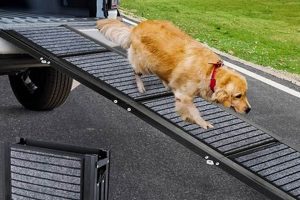 Best Pet Car Ramps for Senior & Injured Dogs | My Caring Dog – Tips, Stories, and Care Guides for Loving Pet Owners