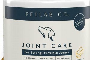 Best Joint Care Supplements for Dogs | My Caring Dog – Tips, Stories, and Care Guides for Loving Pet Owners