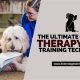 Best Dog Therapy Training Near Me: Programs & Certification | My Caring Dog – Tips, Stories, and Care Guides for Loving Pet Owners