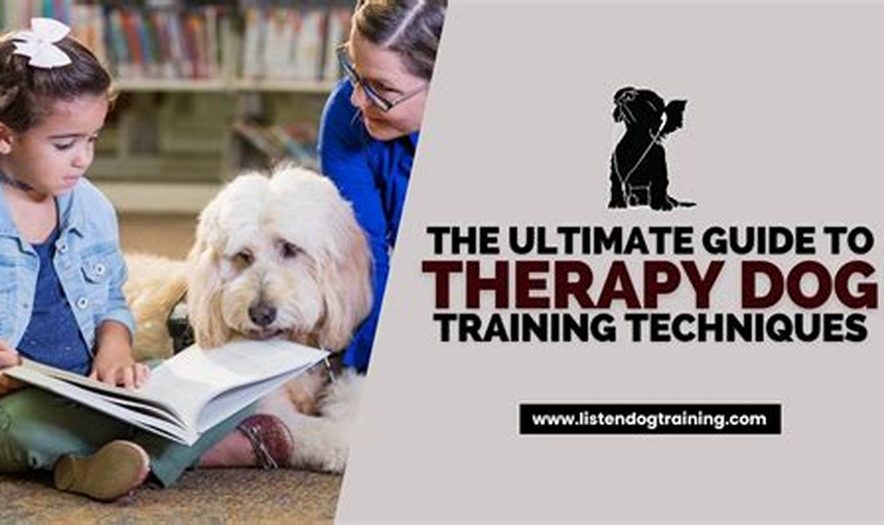 Best Dog Therapy Training Near Me: Programs & Certification | My Caring Dog – Tips, Stories, and Care Guides for Loving Pet Owners