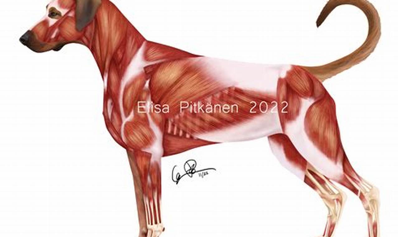 The Ultimate Guide to A Canine Car Companion | My Caring Dog – Tips, Stories, and Care Guides for Loving Pet Owners