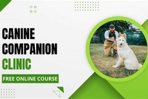 Canine Companion Clinic Will Atherton My Caring Dog – Tips, Stories, and Care Guides for Loving Pet Owners Canine Companion Clinic Will Atherton | My Caring Dog – Tips, Stories, and Care Guides for Loving Pet Owners