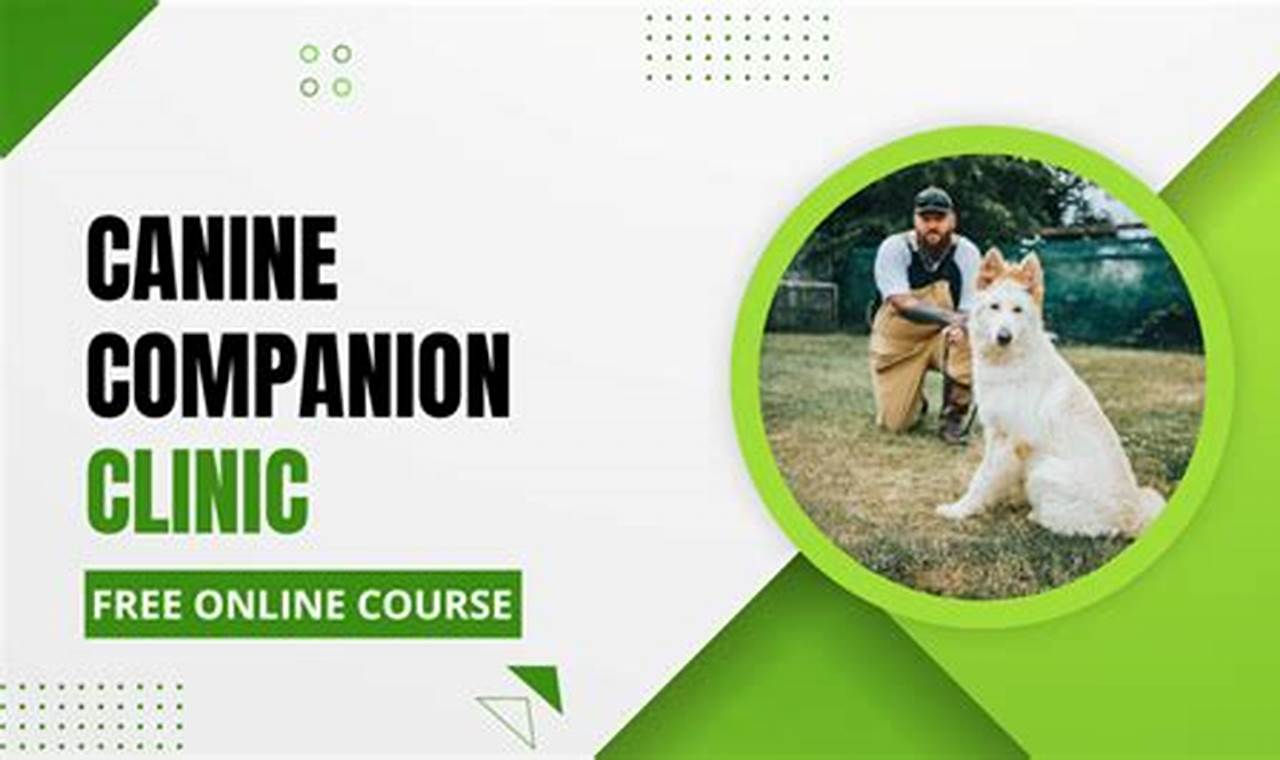Canine Companion Clinic Will Atherton My Caring Dog – Tips, Stories, and Care Guides for Loving Pet Owners Canine Companion Clinic Will Atherton | My Caring Dog – Tips, Stories, and Care Guides for Loving Pet Owners