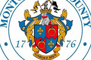 Top Dog Day Care in Montgomery County, MD My Caring Dog – Tips, Stories, and Care Guides for Loving Pet Owners Top Dog Day Care in Montgomery County, MD | My Caring Dog – Tips, Stories, and Care Guides for Loving Pet Owners